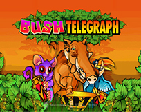 Bush Telegraph